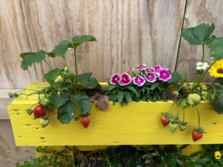 WhatsApp Image 2025-06-12 at 13.42.47 (2)