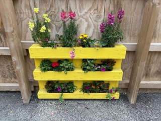 WhatsApp Image 2025-06-12 at 13.42.47 (6)