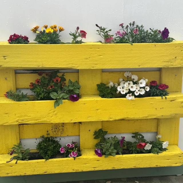 WhatsApp Image 2025-06-13 at 08.11.26 (1)