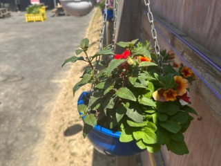 WhatsApp Image 2025-06-13 at 08.12.43 (2)