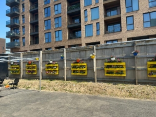 WhatsApp Image 2025-06-13 at 08.12.44