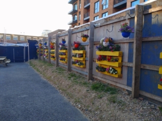 WhatsApp Image 2025-06-13 at 08.13.28